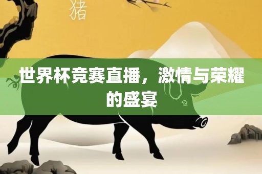 世界杯竞赛直播，激情与荣耀的盛宴