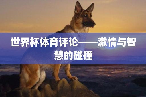 世界杯体育评论——激情与智慧的碰撞眉山市正发家政服务有限公司