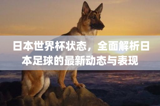 日本世界杯状态，全面解析日本足球的最新动态与表现眉山市正发家政服务有限公司