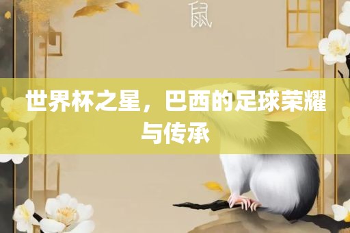 世界杯之星，巴西的足球荣耀与传承眉山市正发家政服务有限公司