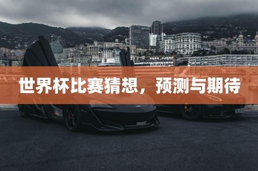 世界杯比赛猜想，预测与期待眉山市正发家政服务有限公司