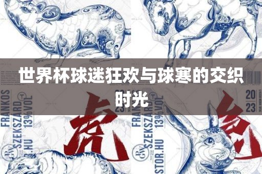 世界杯球迷狂欢与球寒的交织时光眉山市正发家政服务有限公司