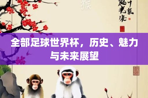全部足球世界杯，历史、魅力与未来展望眉山市正发家政服务有限公司