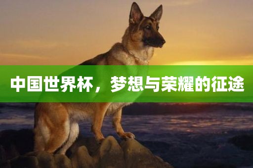 中国世界杯，梦想与荣耀的征途眉山市正发家政服务有限公司