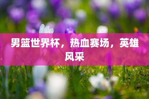 男篮世界杯，热血赛场，英雄风采