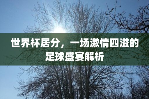 世界杯居分，一场激情四眉山市正发家政服务有限公司溢的足球盛宴解析