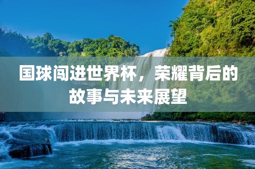 国球闯进世界杯，荣耀背后眉山市正发家政服务有限公司的故事与未来展望