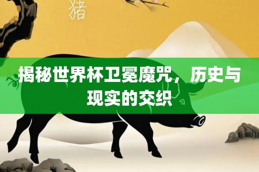 揭秘眉山市正发家政服务有限公司世界杯卫冕魔咒，历史与现实的交织