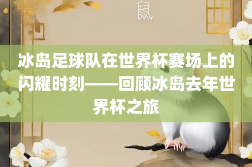 冰岛足球队在世界杯赛场上的闪耀时刻——回顾冰岛去年世界杯之旅