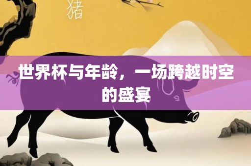 世界杯与年龄，一场跨越时空的盛宴眉山市正发家政服务有限公司