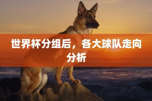 世界杯分组后，各大球队走向分析