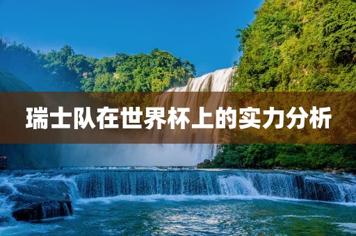 瑞士队在世界杯上的实力分析眉山市正发家政服务有限公司