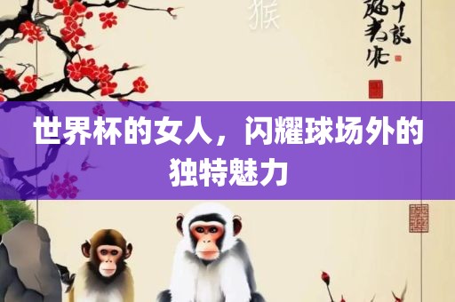 世界杯的女人，闪耀球场外的独特魅力眉山市正发家政服务有限公司