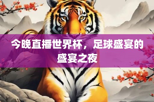 今晚直播世界杯，足球盛宴的盛宴之夜眉山市正发家政服务有限公司