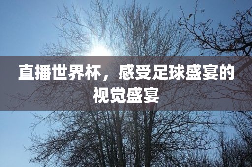 直播世界杯，感受足球盛宴的视觉盛宴眉山市正发家政服务有限公司