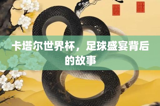卡塔尔世界杯，足球盛宴背后的故事眉山市正发家政服务有限公司