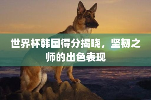 世界杯韩国得分揭晓，坚韧之师的出色表现眉山市正发家政服务有限公司