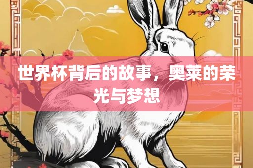 世界杯背后的故事，奥莱的荣光与梦想眉山市正发家政服务有限公司