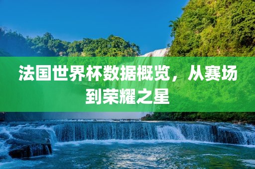 法国世界杯数据概览，从赛场到荣耀之星眉山市正发家政服务有限公司