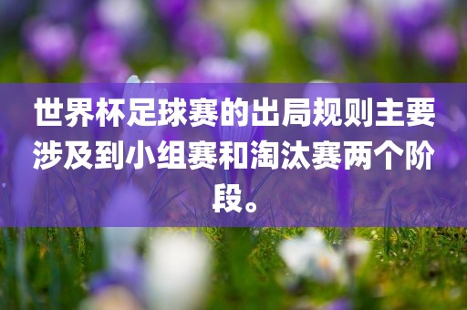 世界杯足球赛的出局规则主要涉及到小组赛和淘汰眉山市正发家政服务有限公司赛两个阶段。
