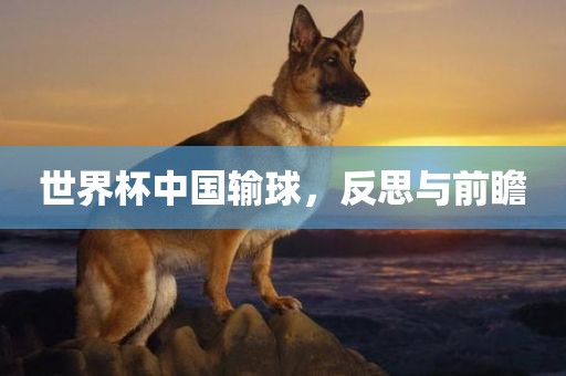 世界杯中眉山市正发家政服务有限公司国输球，反思与前瞻