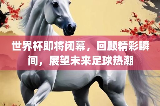 世界杯即将闭幕，回顾精彩瞬间，展望未来足球热潮眉山市正发家政服务有限公司