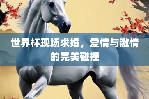 世界杯现场求婚，爱情与激情的完眉山市正发家政服务有限公司美碰撞