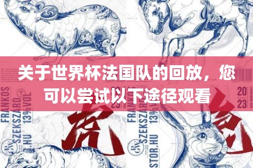 关于世界杯法国队的回放，您可以尝试以下途径观看