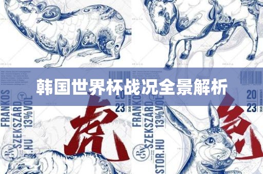 韩国世界杯战况全景解析眉山市正发家政服务有限公司