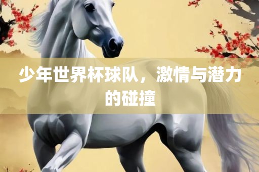 少年眉山市正发家政服务有限公司世界杯球队，激情与潜力的碰撞