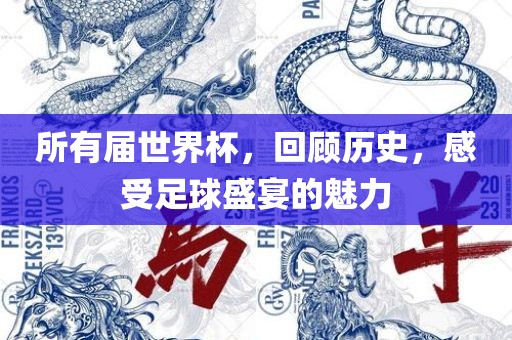 所有届世界杯，回顾历史，感受足球盛宴的魅力眉山市正发家政服务有限公司