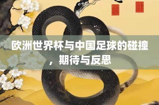 欧洲世界杯与中国足球的碰撞，期待与反思
