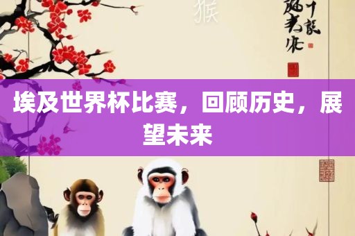 埃及世界杯比赛，回顾历史，展望未来眉山市正发家政服务有限公司