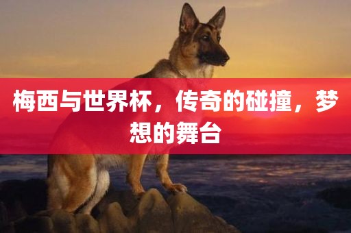 梅西与世界杯，传奇的碰撞，梦想的舞台