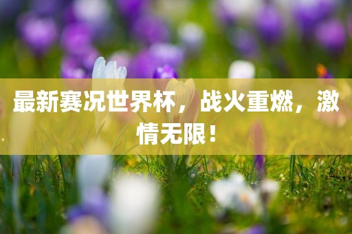 最新赛况世界杯，战火重燃，激情无限！眉山市正发家政服务有限公司