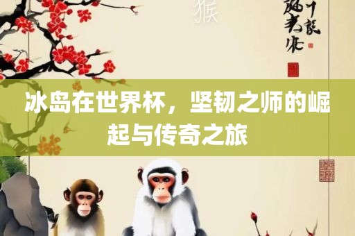 冰岛在世界杯，坚韧之师的崛起与传奇之旅眉山市正发家政服务有限公司