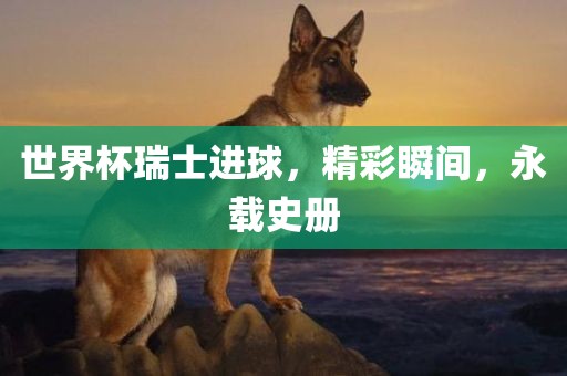 世界杯瑞士进球，精彩瞬间，永载史册