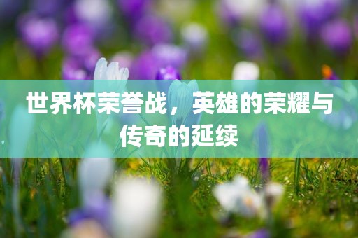 世界杯荣誉战，英雄的荣耀与传眉山市正发家政服务有限公司奇的延续