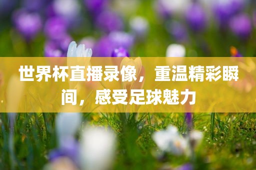 世界杯直播录像，重温精彩瞬间，感受足球魅力眉山市正发家政服务有限公司