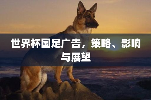 世界杯国足广告，策略、影响与展望眉山市正发家政服务有限公司
