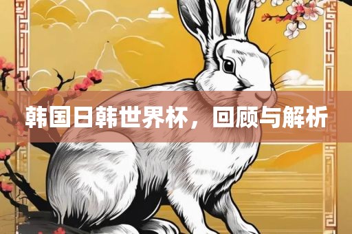韩国日韩世界杯，回顾与解析