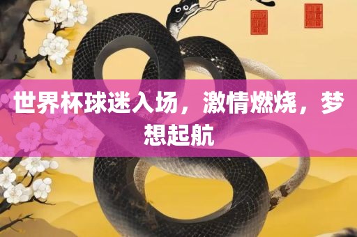 世界杯球迷入场，激情燃烧，梦想起航