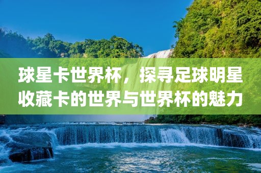世界杯魅力
