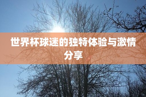 世界杯球迷的独特体验与激情分享