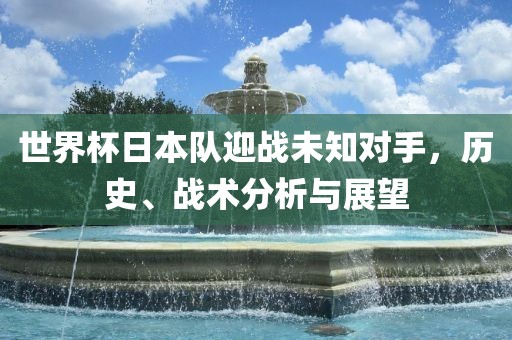 世界杯日本队迎战未知对手，历史、战术分析与展望眉山市正发家政服务有限公司