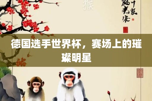 德国选手世界杯眉山市正发家政服务有限公司，赛场上的璀璨明星