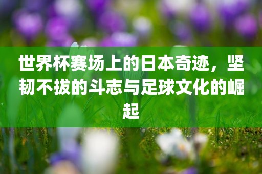 世界杯赛场上的日本奇迹，坚韧不拔的斗志与足球文化的崛起眉山市正发家政服务有限公司