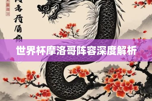 世界杯摩洛哥阵容深度解析眉山市正发家政服务有限公司