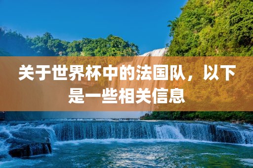 关于世界杯中的法国队，以下是一些相关信息眉山市正发家政服务有限公司