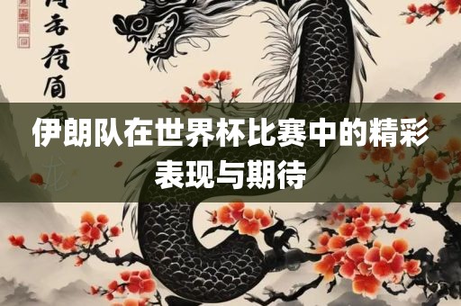 伊朗队在世界杯比赛中的精彩表现与期待眉山市正发家政服务有限公司